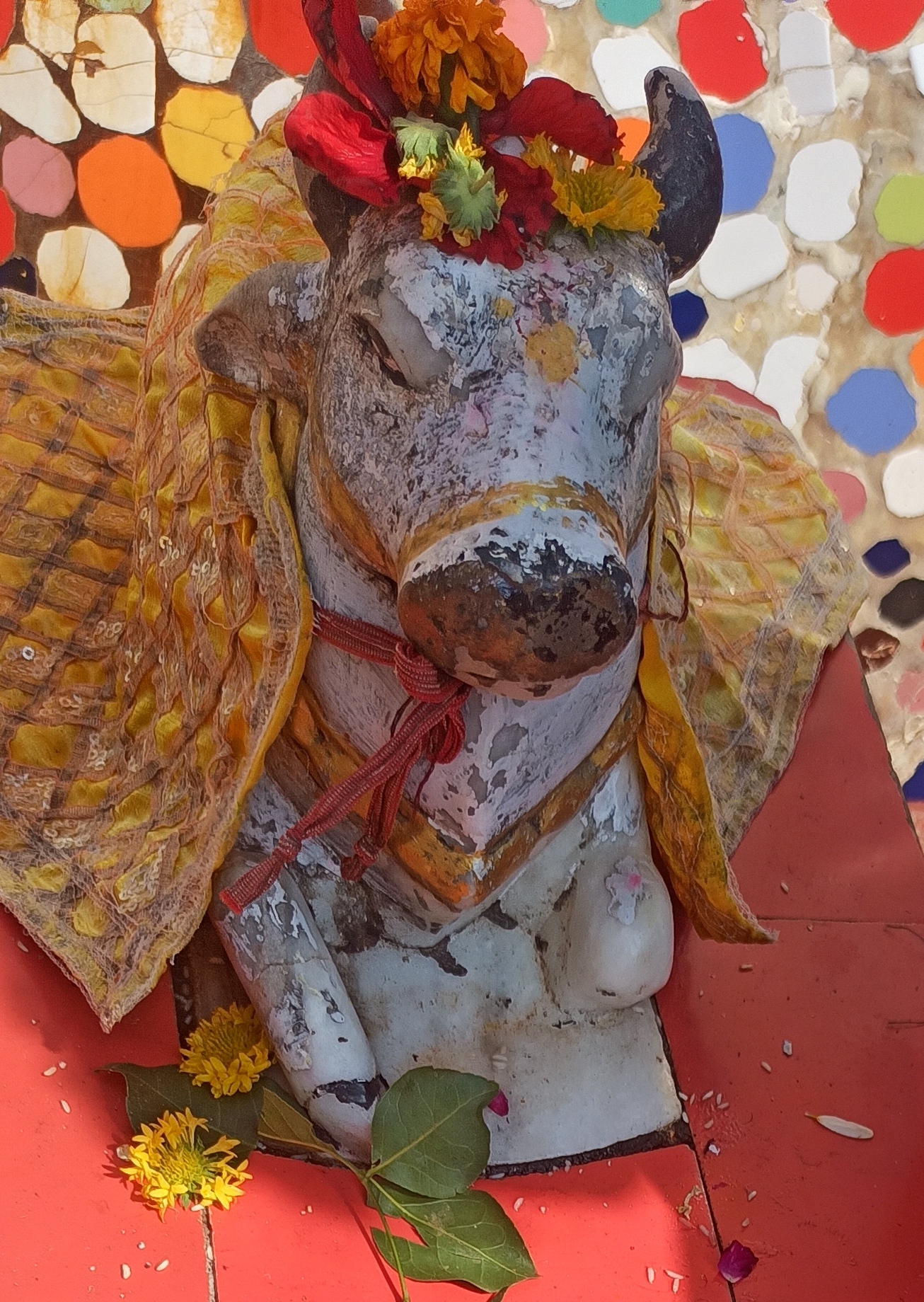 Helping a senior citizen with pension status